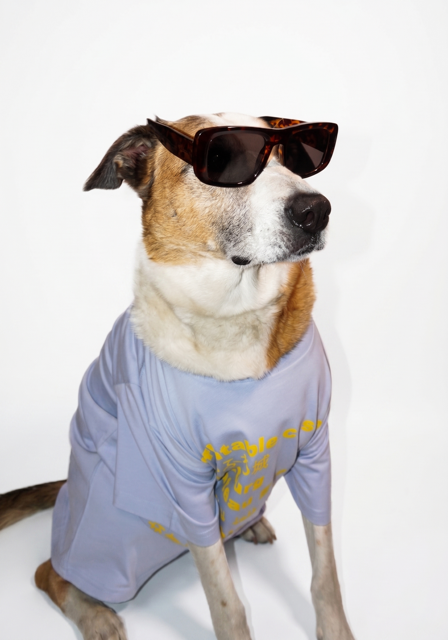 Languages T-shirt
